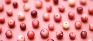 Pink Cranberry Wine Recipe