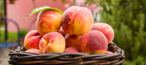 Peach Wine Recipe
